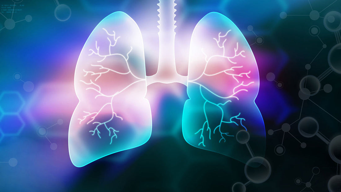 What is quercetin? Quercetin's effect on the lungs